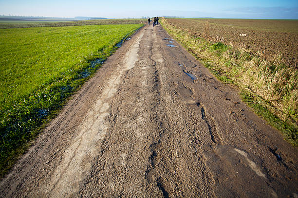 longa estrada - winter farm vibrant color shadow imagens e fotografias de stock