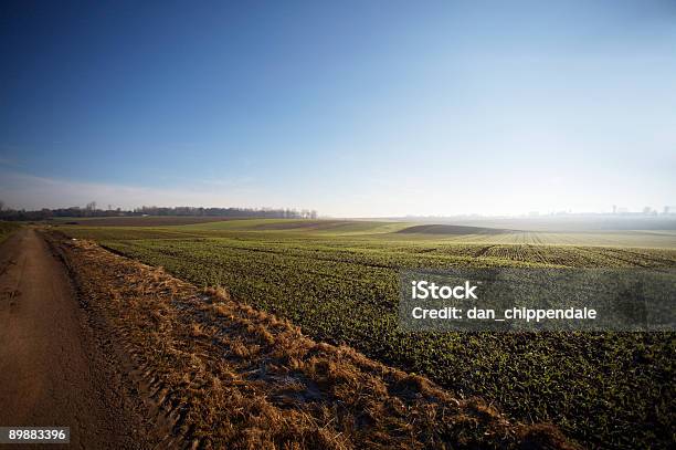 Paesaggio Agricolo - Fotografie stock e altre immagini di Agricoltura - Agricoltura, Albero, Ambientazione esterna