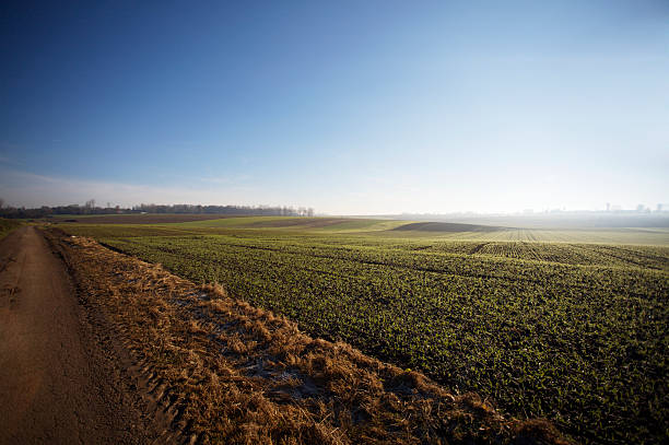 paisagem de agricultura - winter farm vibrant color shadow imagens e fotografias de stock