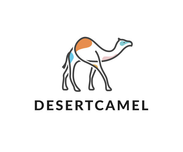 desert camel vector icon camel, desert, animal, vector, icon camel colored stock illustrations