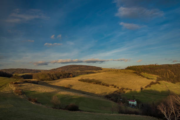 Meadow with trees near Erbenova observation tower in winter evening