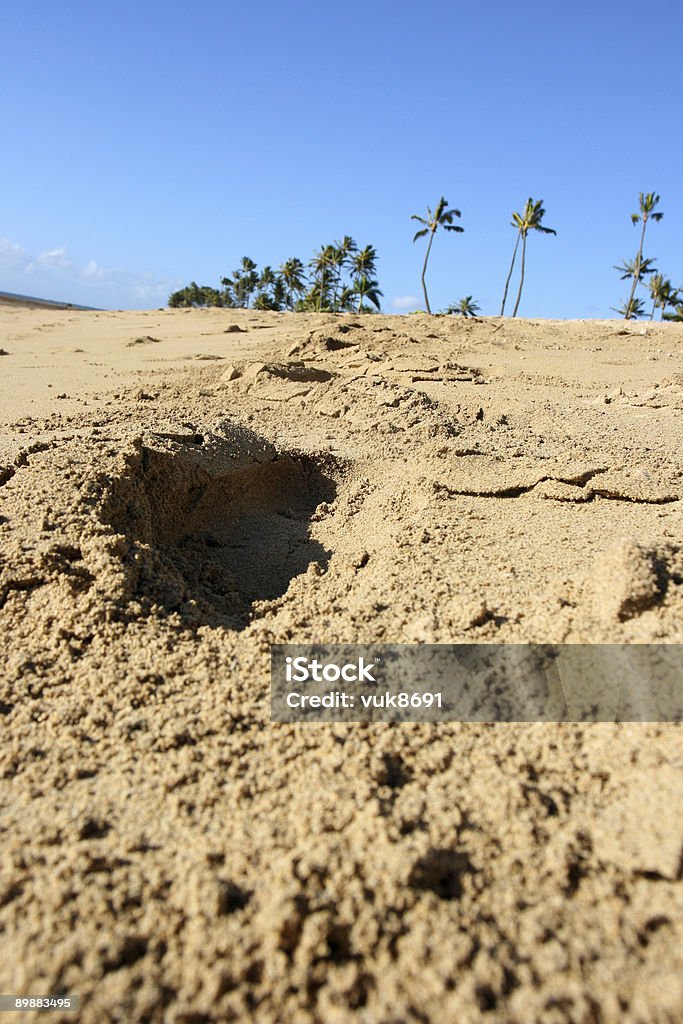 Impronta sulla spiaggia hawaiana - Foto stock royalty-free di Acqua