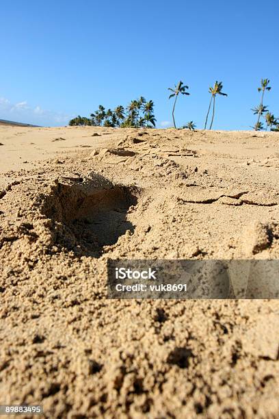 Impronta Sulla Spiaggia Hawaiana - Fotografie stock e altre immagini di Acqua - Acqua, Albero, Albero tropicale