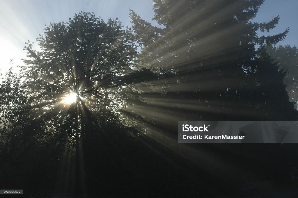 Bright God Rays God Rays Stock Photo - Download Image Now - Color Image, Horizontal ...
