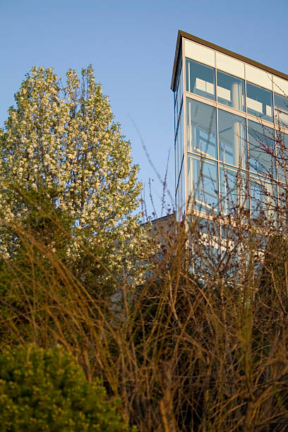 Glass Building, Landscaping stock photo
