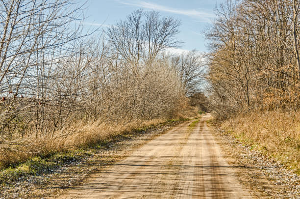 istock Dirt Road Heading Through the Trees 898839110