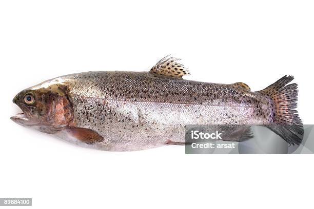 Troféu De Pescador - Fotografias de stock e mais imagens de Bacalhau - Bacalhau, Boca Aberta, Comida