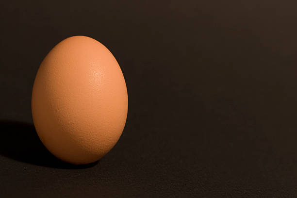 Brown Egg on a black background stock photo