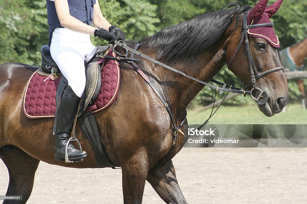 Équitation Detailshot - Photo de Bottes d'équitation libre de droits