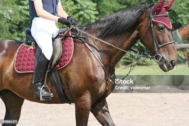 Cavalgar Detailshot - Fotografias de stock e mais imagens de Bota de Equitação - Bota de Equitação, Calças de Equitação, Cavalgar