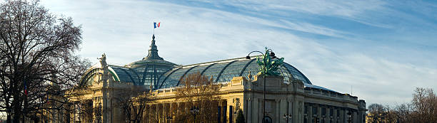 grand palais, des champs-élysées, à paris - charles de gaulle photos et images de collection