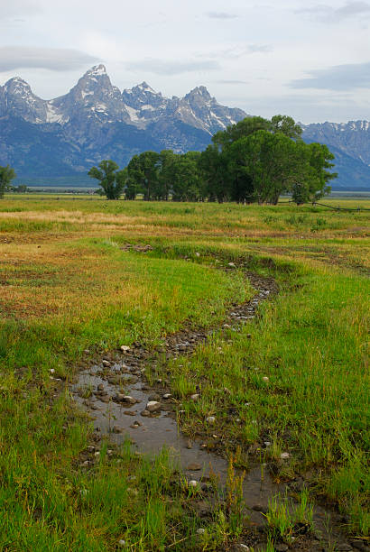 istock Scenic View at Grand Teton 89884403