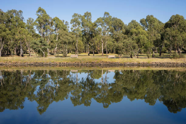 Gum trees reflected in the Maribyrnong River, Melbourne.