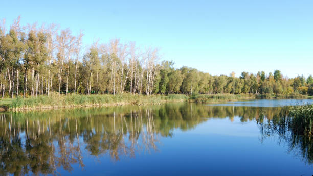 istock Autumn in Siberian forest, Omsk region, Russia 898848708