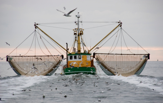 A fishing boat surrounded by seagulls.