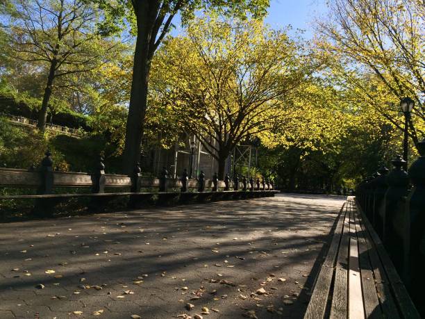 istock Walkway and long wooden bench under shadow of trees in falls 898853006