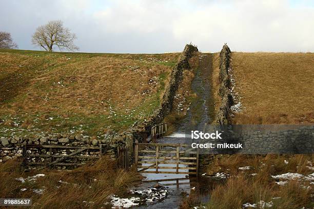 Ricerca Remota E Porta In Campagna - Fotografie stock e altre immagini di Ambientazione esterna - Ambientazione esterna, Cancello, Composizione orizzontale