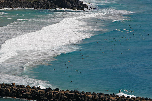 istock Lots of surfers 89885706