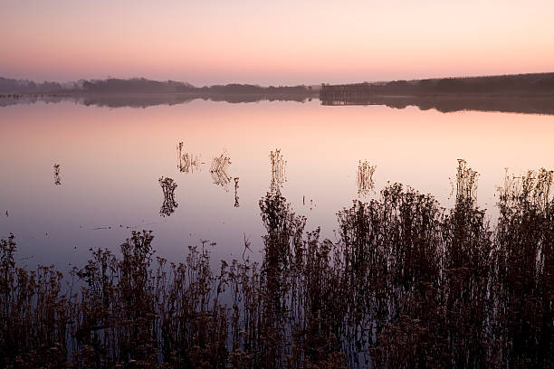 Ruhige Morgen – Foto