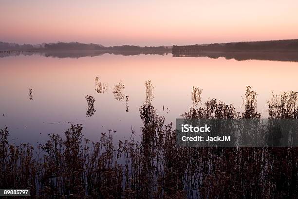 Serene Morning Stock Photo - Download Image Now - South, Cape May - New Jersey, Cape May County