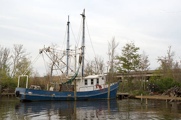 istock Shrimp Boats Are A-Comin' 89885800