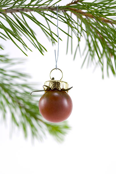 istock Purple Tomato Ornament 89885958