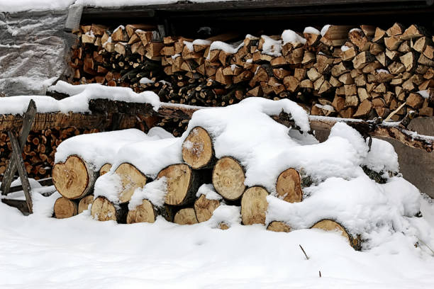 istock Chopped firewood woodpile 898860804