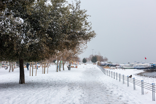 Snowy day in Caddebostan, Istanbul, Turkey.