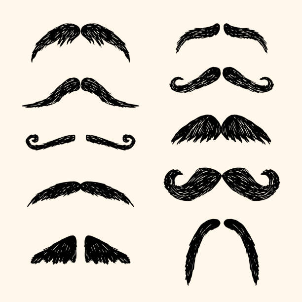 Different Moustache Vector Hand Drawn Illustration In Sketch Style Stock  Illustration - Download Image Now - iStock