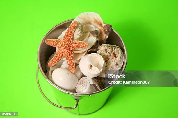Shellfish Series Stock Photo - Download Image Now - Animal Shell, Close-up, Color Image