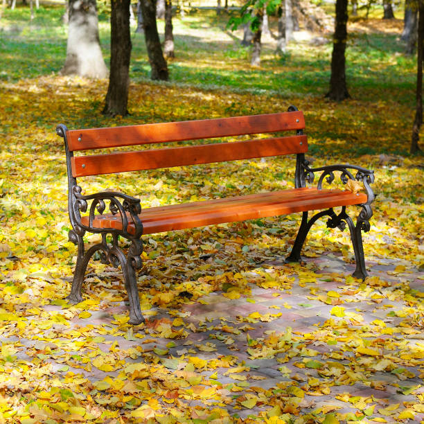 istock A beautiful bench for rest in an autumn park. 898870136