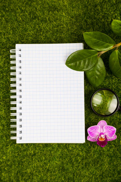 paper on grass