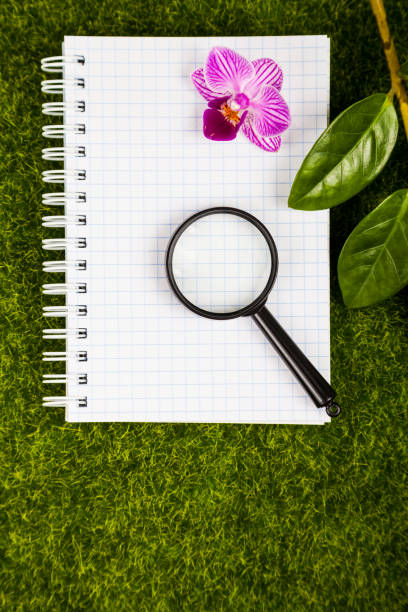 Notebook, magnifier,orchid and green leaves on the grass close-up.