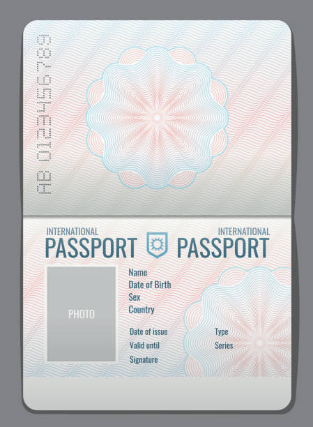 ilustrações de stock, clip art, desenhos animados e ícones de blank open passport template isolated vector illustration - passaporte