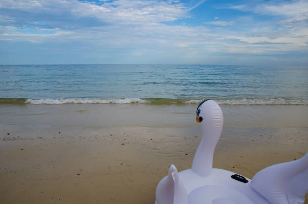 schwan rettungsring auf strand und meer - samed stock-fotos und bilder