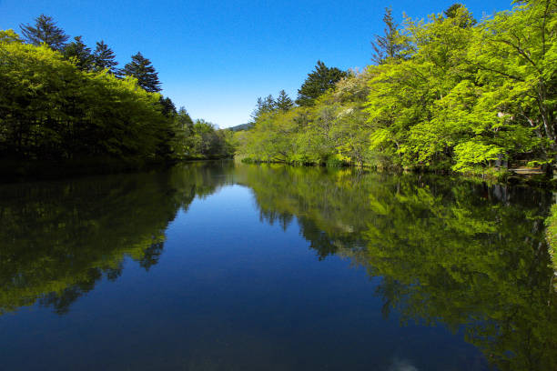 Kumobaike is located in Karuizawa-cho, Nagano-prefecture, Japan, one of the most popular resort area. The spring pond gathers a lot of visitors, and is surrounded by museums and villas, and a foreign cemetery is located near here.