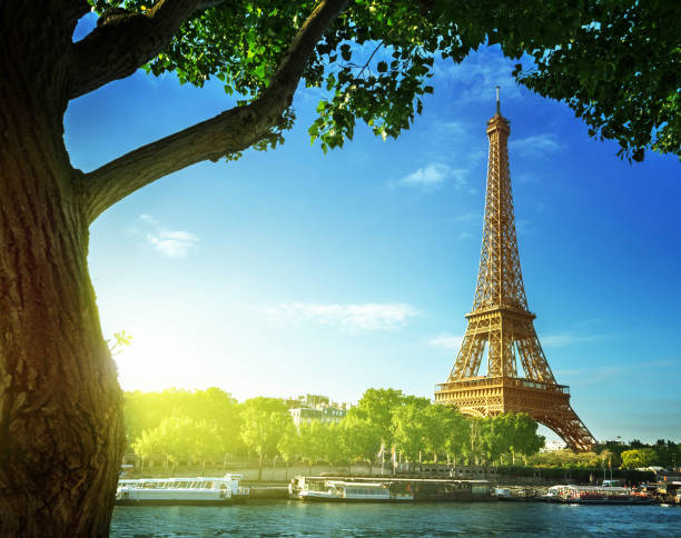 istock Eiffel tower, Paris. France 898874098