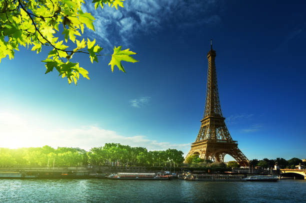 istock Eiffel tower, Paris. France 898874100