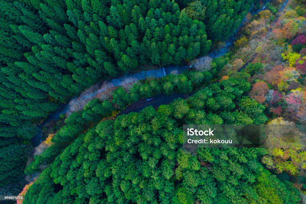 forest from bird's eye view. Overhead aerial top view over hairpin turn road bend in countryside autumn pine forest.Mountain curve street path background.Straight-down above perspective. Top - Garment Stock Photo