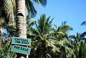cottage-f%C3%BCr-rent-insel.jpg?b=1&s=17