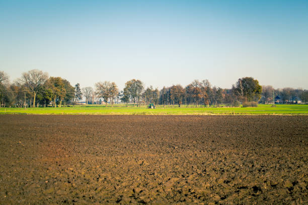 istock Farm Landscape. green field. Farmland fields 898877954
