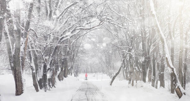 istock Snow-covered winter park and benches. Park and pier for feeding 898878174