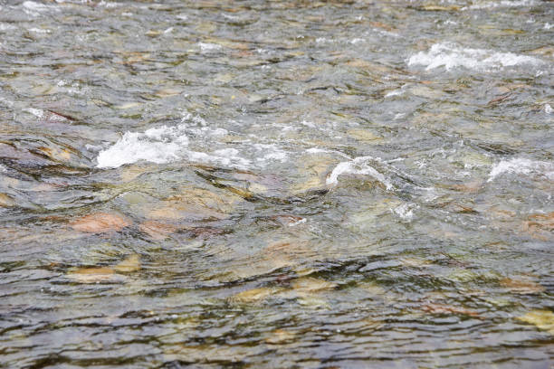 río de montaña. fuerte corriente. salpicaduras de agua - splash mountain fotografías e imágenes de stock