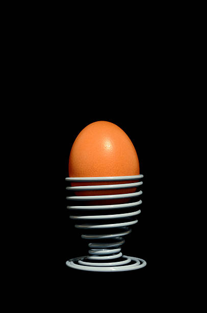 Egg stock photo