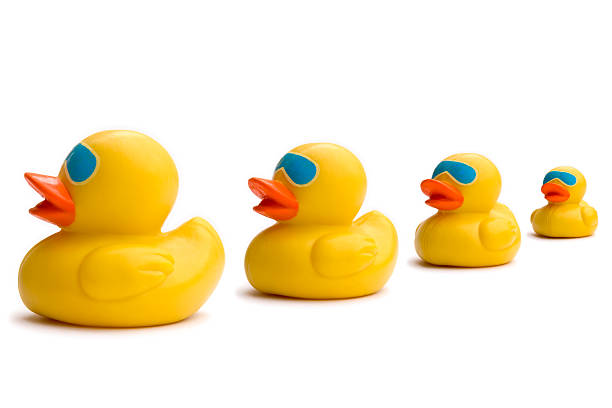 istock Business sayings, get our ducks in a row 89888610