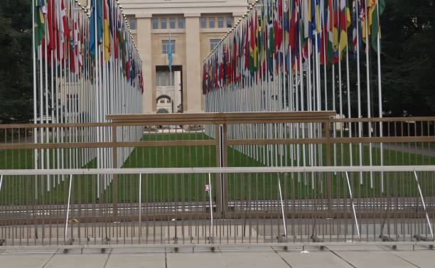 istock The United Nations 898886836