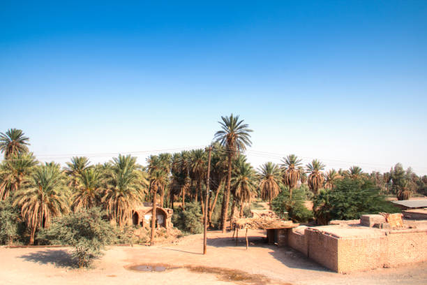 istock Oasis village Shahdad in Iran 898886878