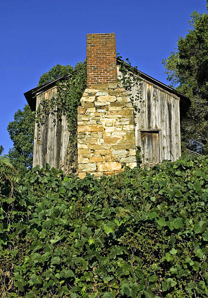 istock Old Wooden Shed and Rock Chimney 89888854
