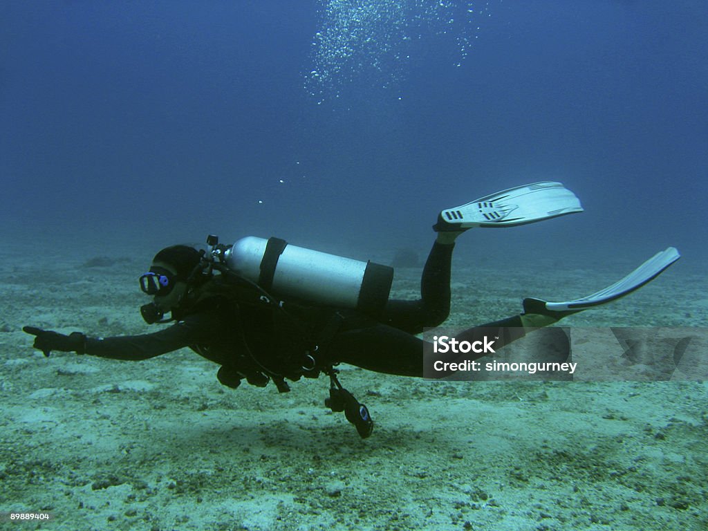 Femme pointant plongée sous-marine - Photo de Guide libre de droits