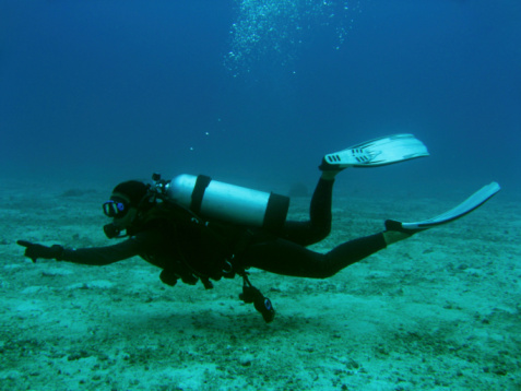 Group of divers underwater with scuba equipment exploring sea life